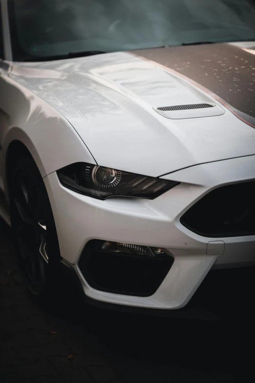 a close up of a white mustang with a grey front