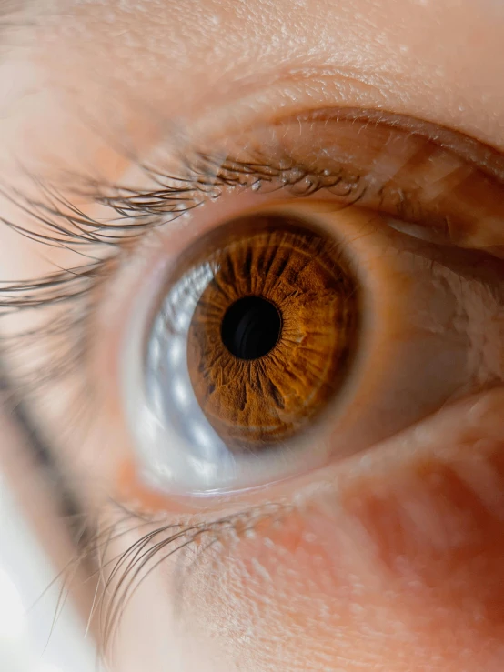 an eye looking down with a brown color