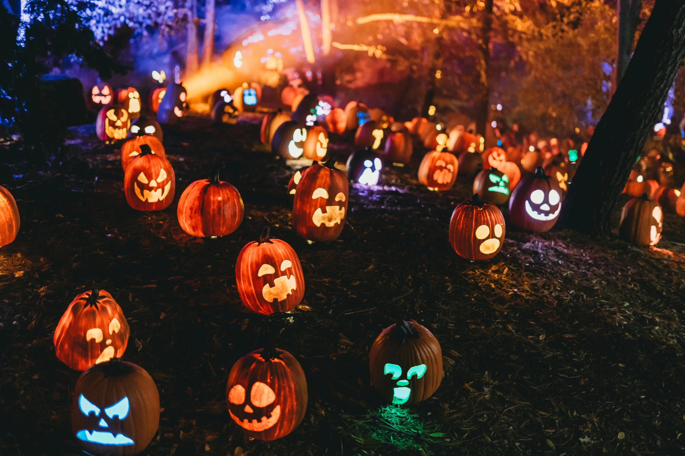 a group of carved pumpkins are lit up for halloween