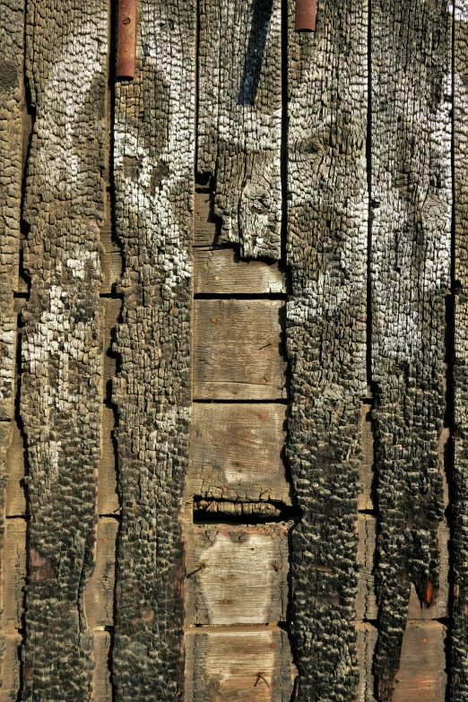 a bird standing on top of a wooden structure