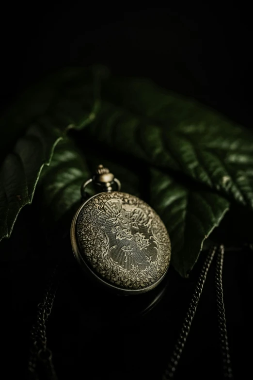 a pocket watch sitting on top of a leaf