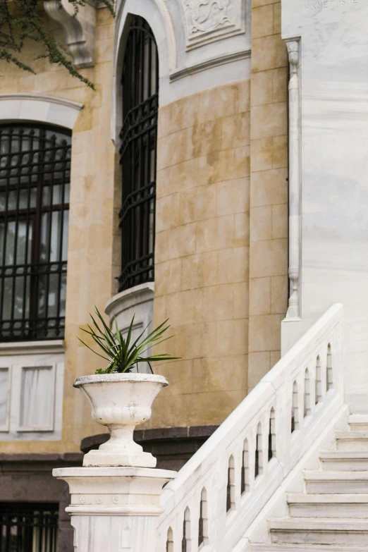 an outdoor plant is on top of a stone pot