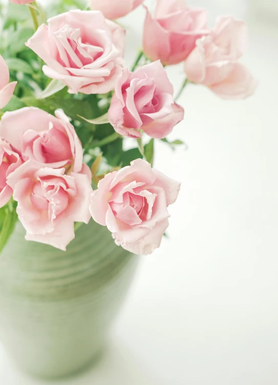 a close up view of a vase with several pink flowers