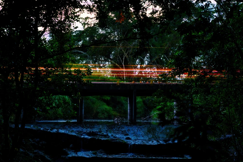 the lights shine brightly on a bridge in the woods