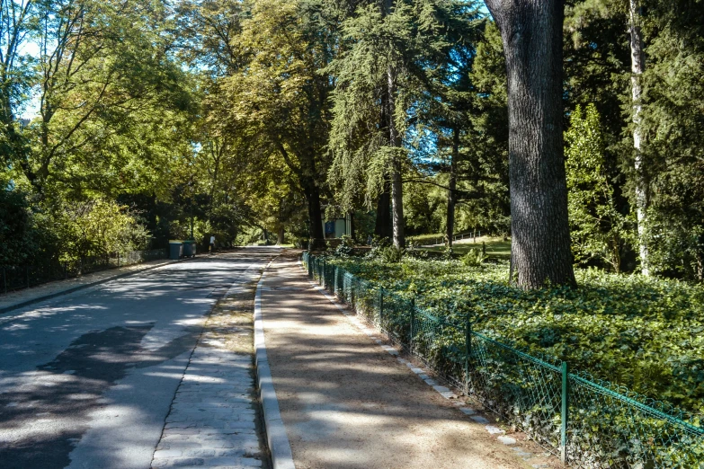 an image of a street with many trees