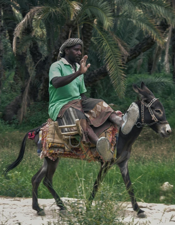 a person riding on top of a donkey