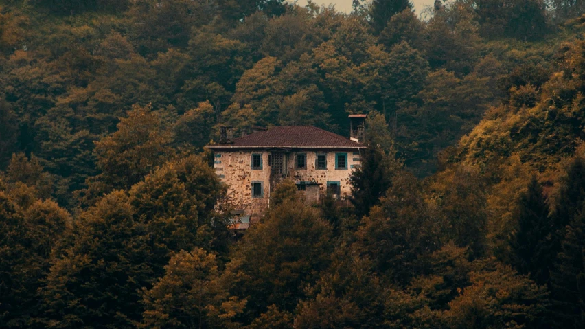 an old abandoned building perched among tall trees