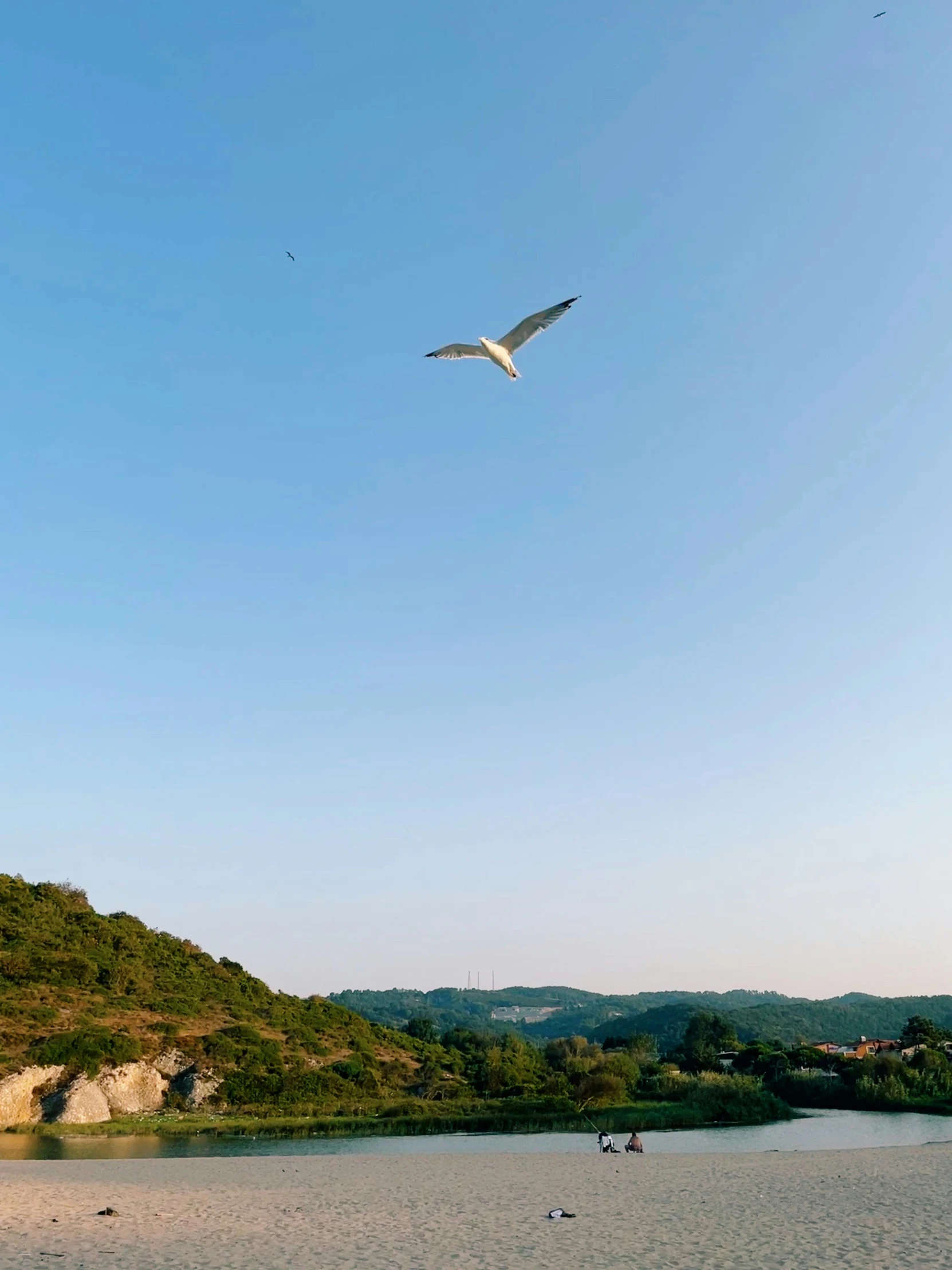 a bird flying above a beautiful beach with some people walking