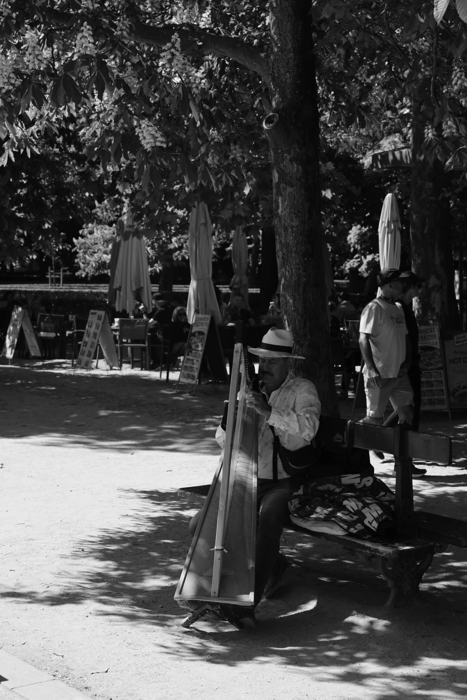 there are many umbrellas behind a bench in the park