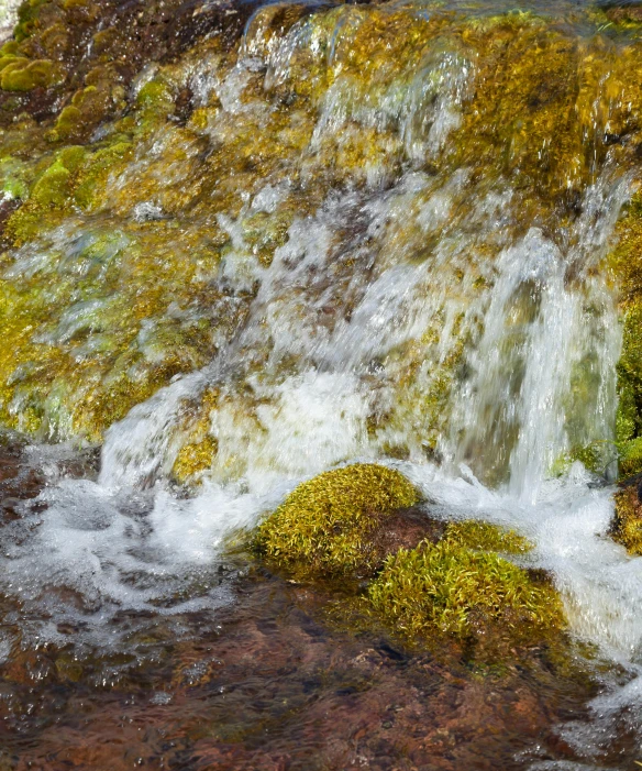 a small waterfall cascading through some mossy rocks