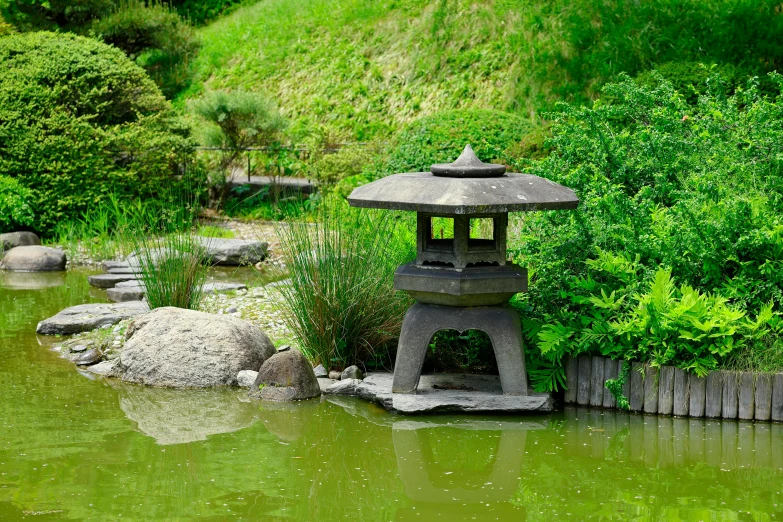 a pond in the middle of a park with rocks around it