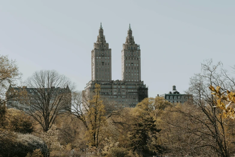 trees in a park and a tall building behind them