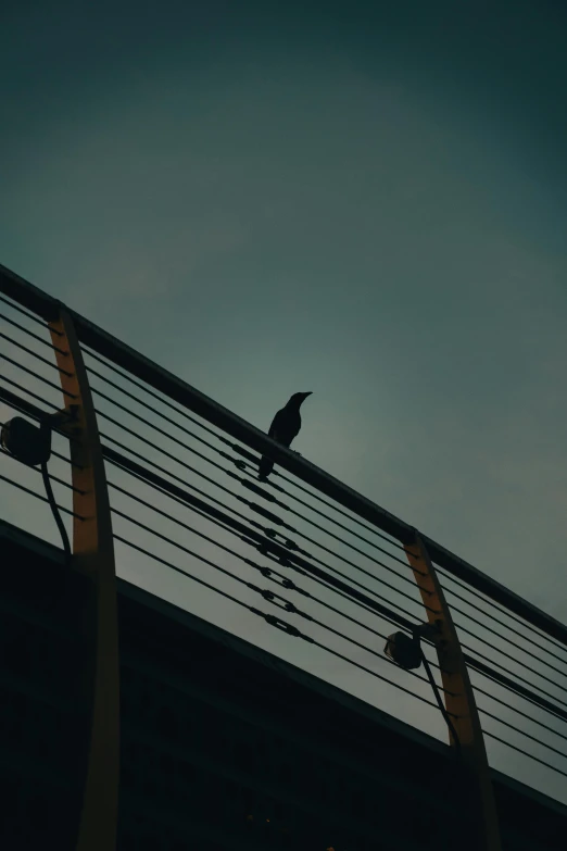 a bird is sitting on top of a metal rail