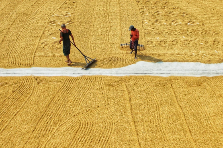 two men using a broom to move through a field