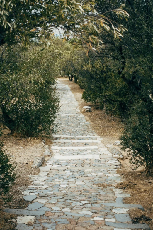 there is a stone path that winds through the trees