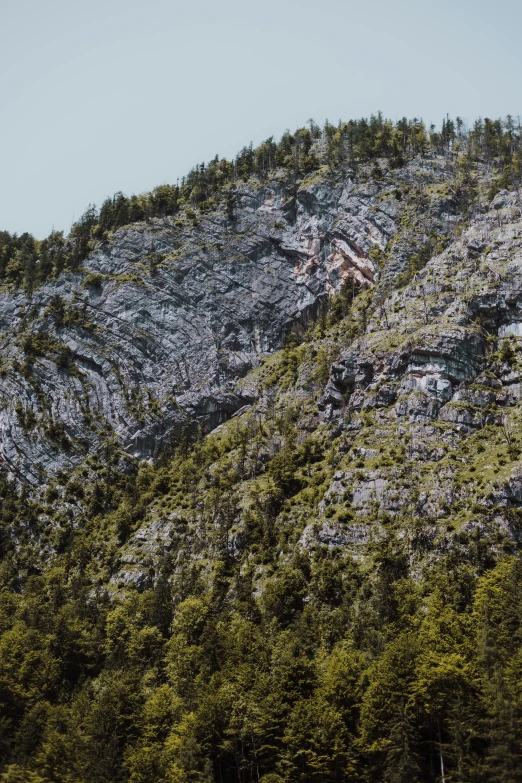 the side of a mountain is covered in vines