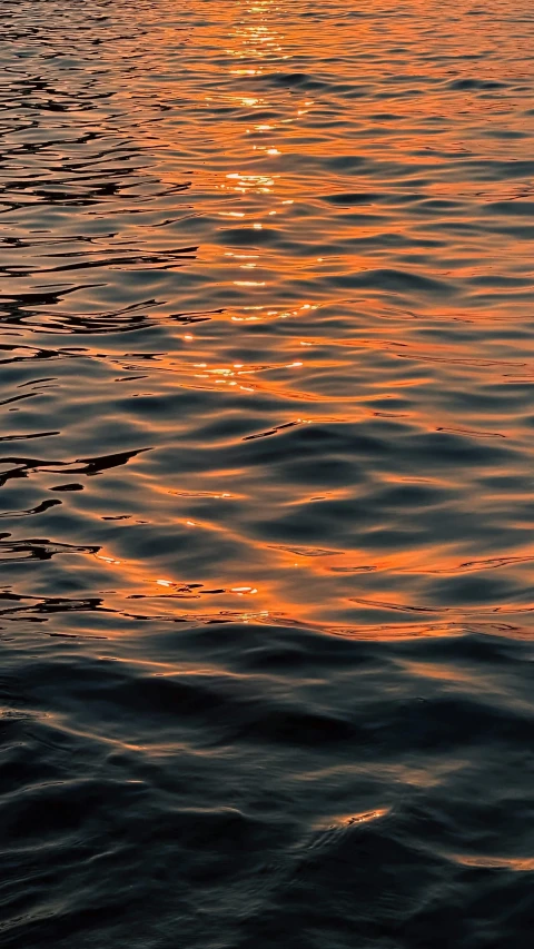 a group of boats sailing in the water at sunset