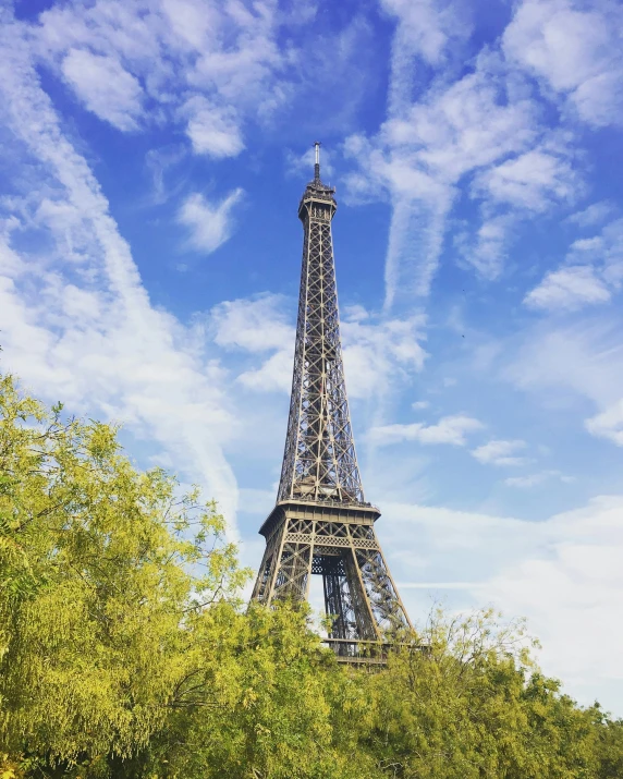 the eiffel tower sits surrounded by trees in the day