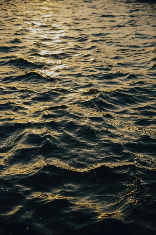 the waves of water that flows over the beach