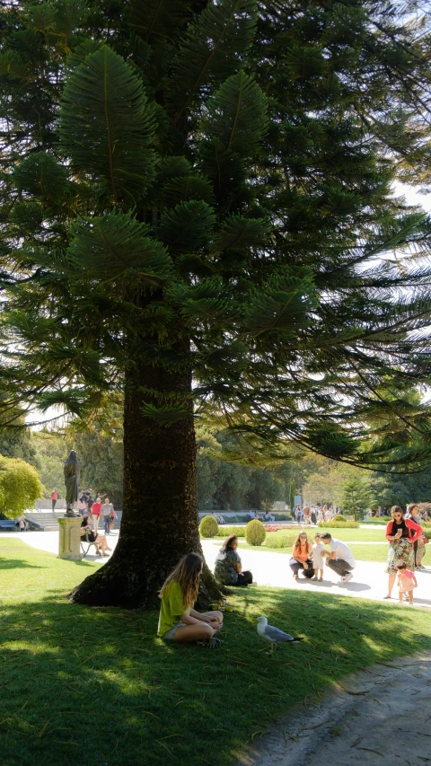 several people sitting and walking in the park