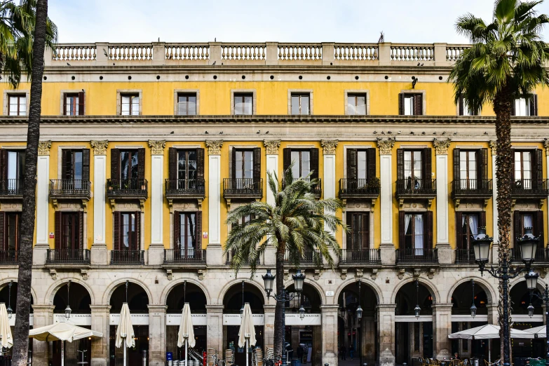 a row of palm trees sit in front of a yellow building