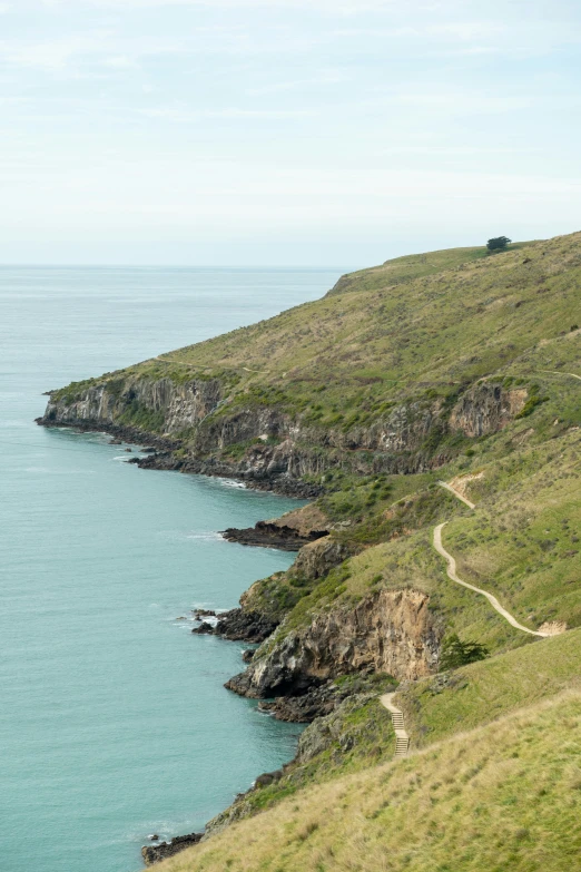 a pathway leading to a lush green hillside next to the ocean