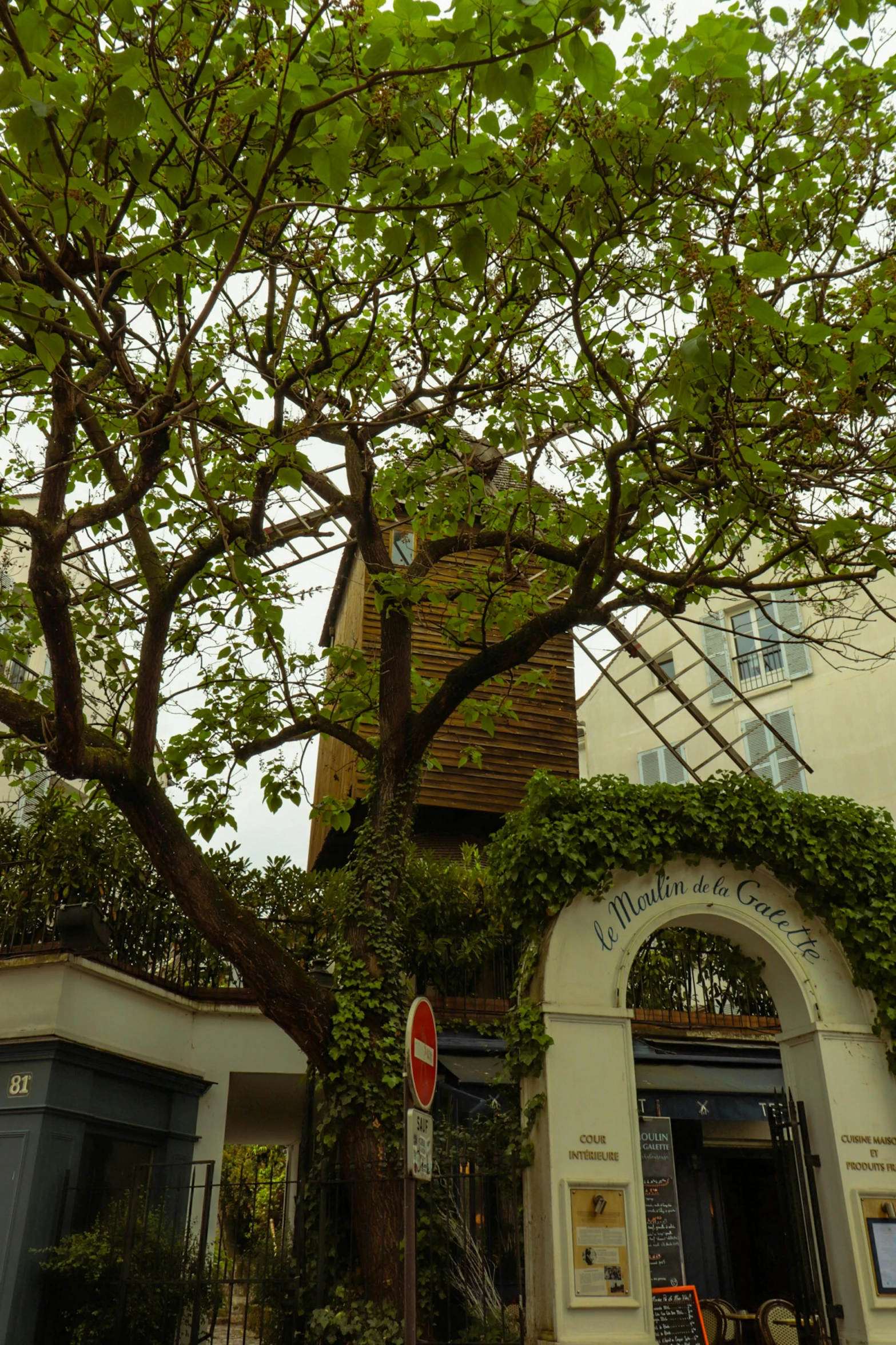 an outside tree next to two stores