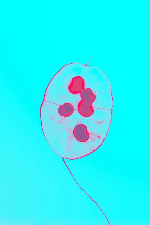 a blue flying kite in the sky with some red spots