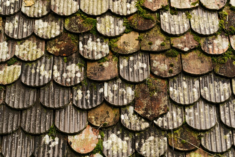 a close up s of an old, mossy roof