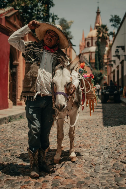 a man stands on a cobblestone street, with his hand in his pocket, petting a small horse