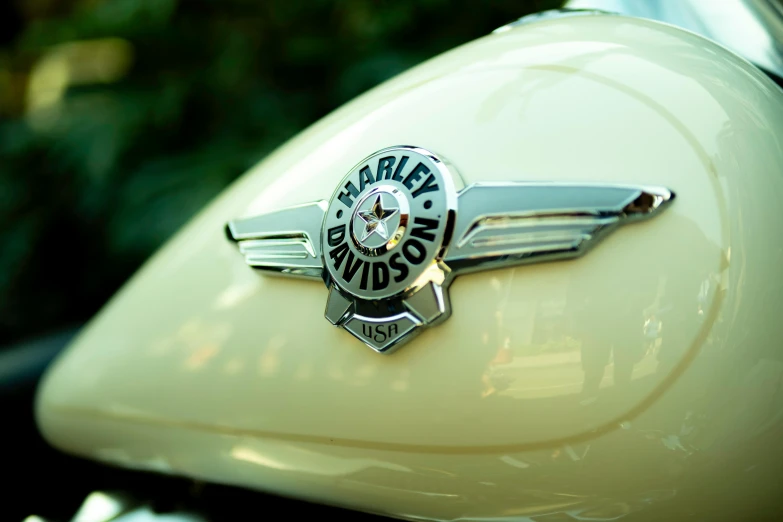 the emblem on the front of a motorcycle