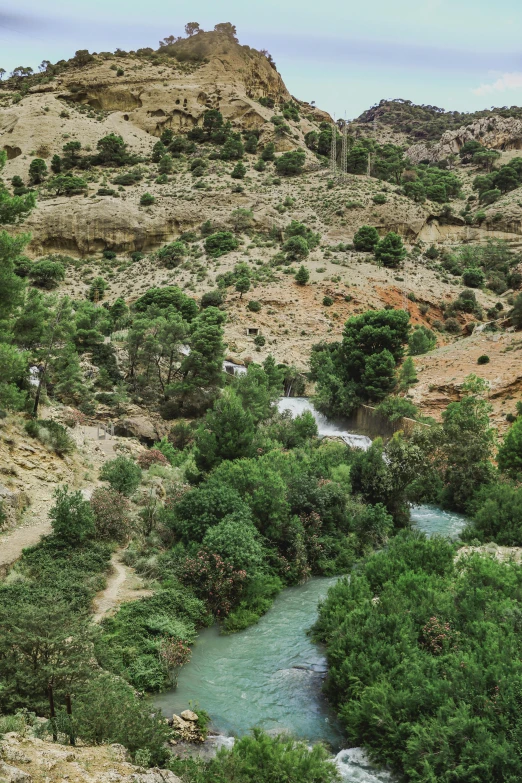 the mountain is covered in green vegetation, and it's a very clear view