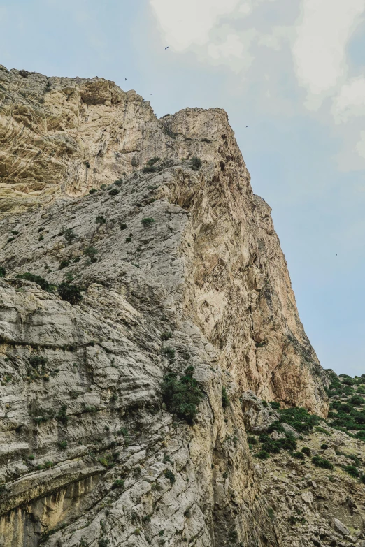 a tall cliff side with many vegetation on it