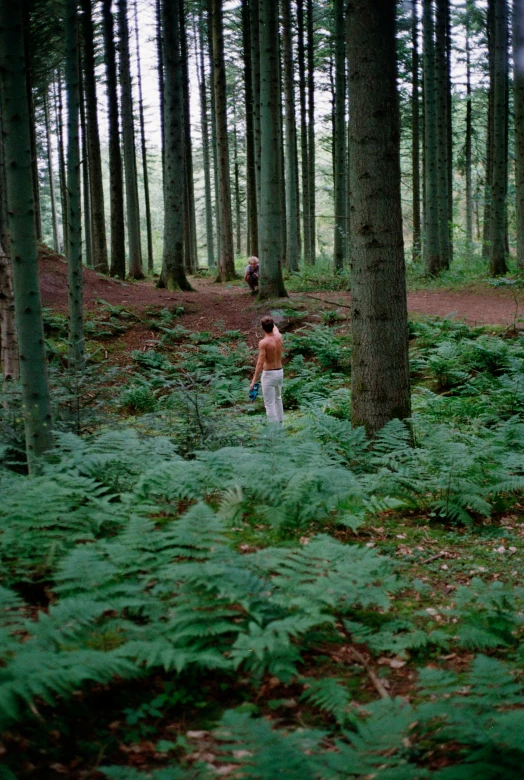 a man walking in a forest holding a frisbee