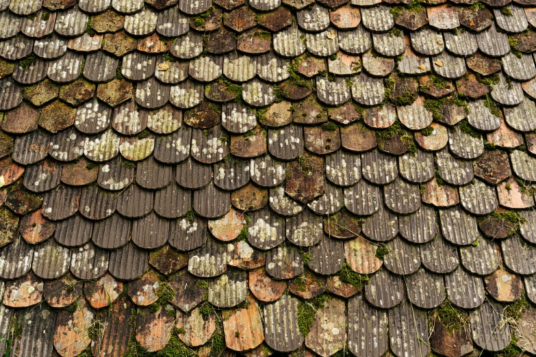 close up view of roof made of rocks and moss