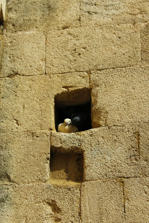 a large object sits in the middle of a concrete window