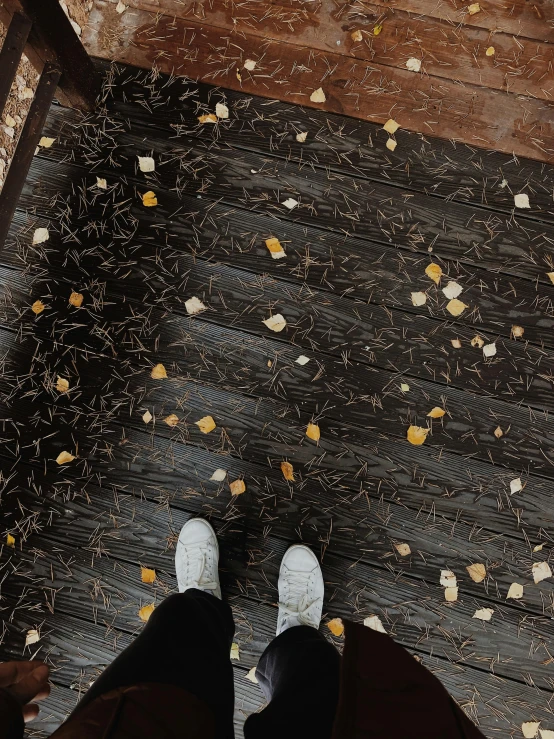 a person walking in the middle of a walkway filled with leaves