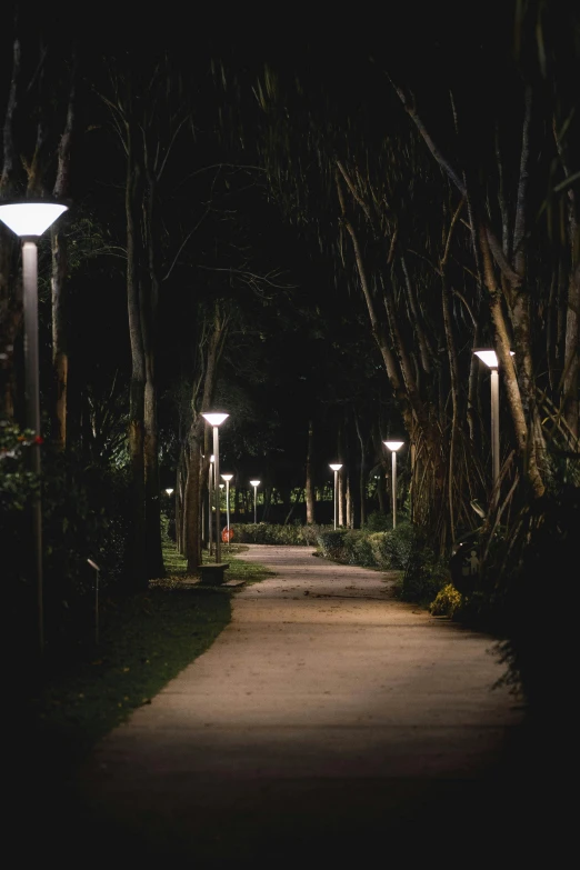 an empty street lit by street lamps in the dark