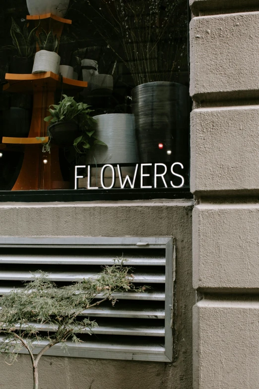 a window with the sign flowers behind it