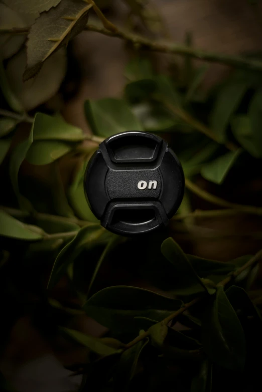 an on camera lens cap resting upon a leafy nch