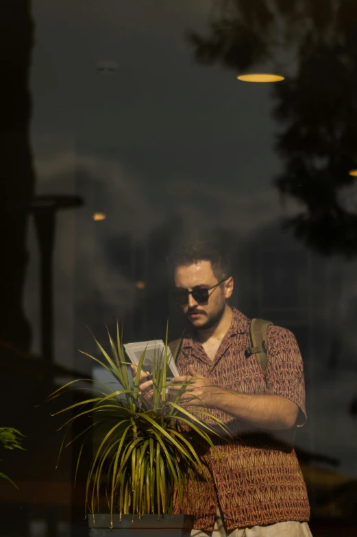 a man is standing in the window with a plant