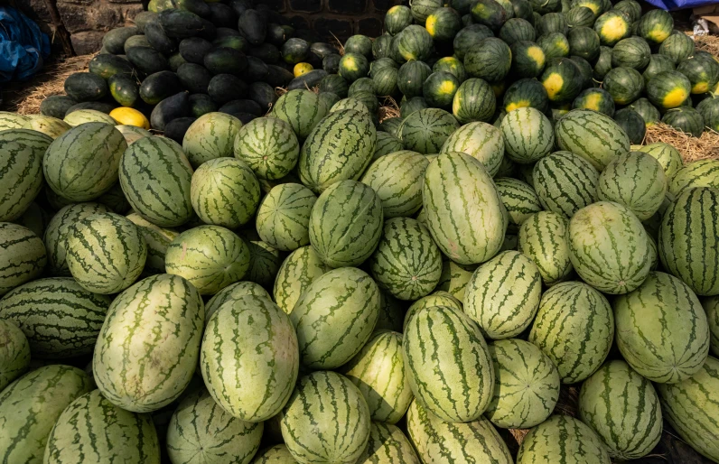 a pile of cucumbers and watermelons sitting next to each other