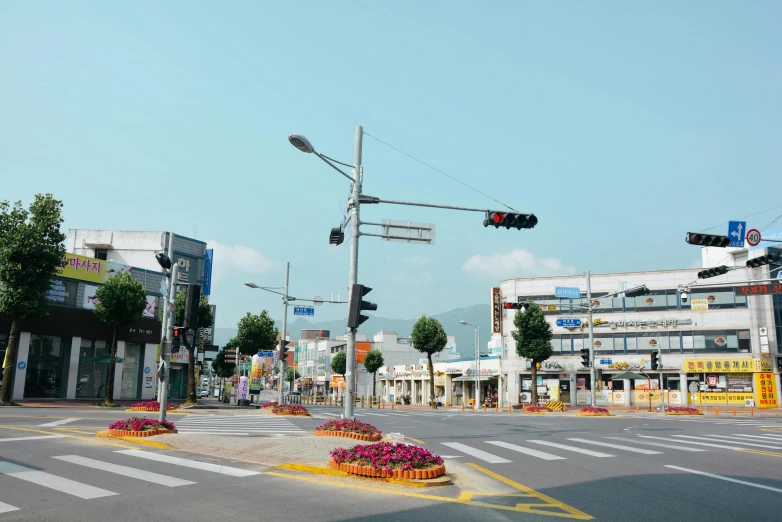 a traffic light hanging over a street filled with flowers