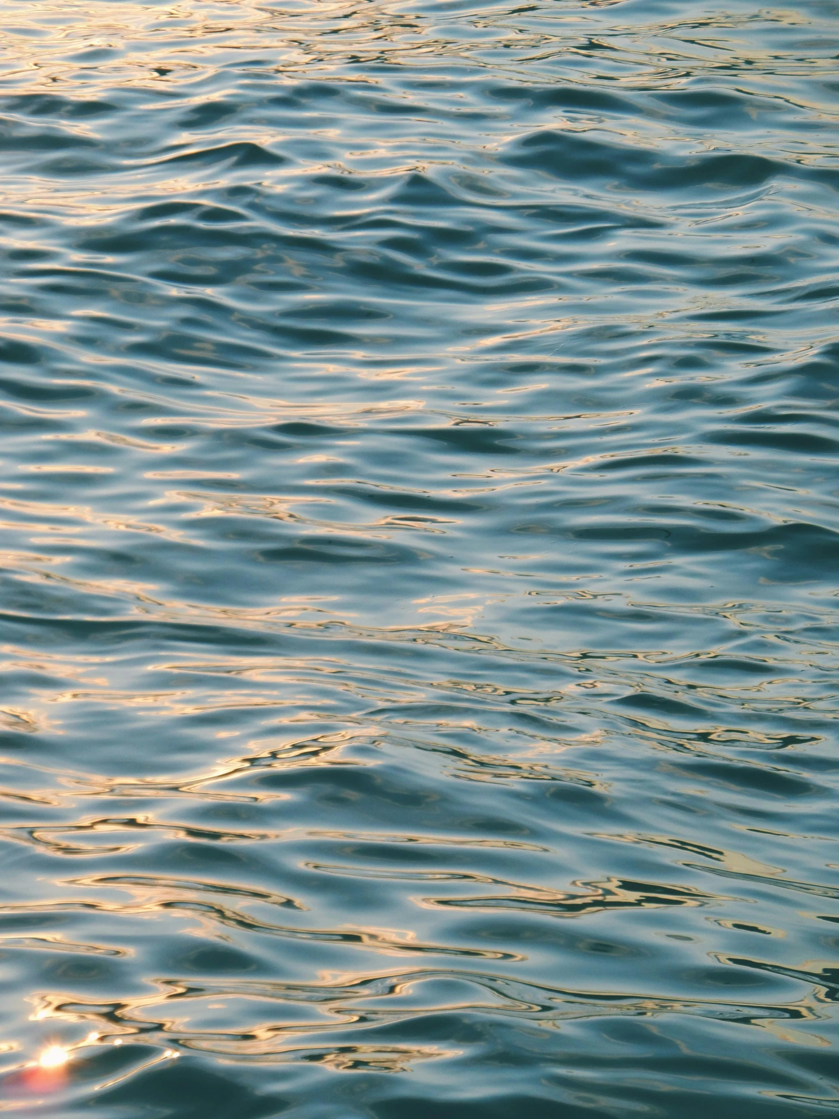 an orange object floating on the side of a body of water