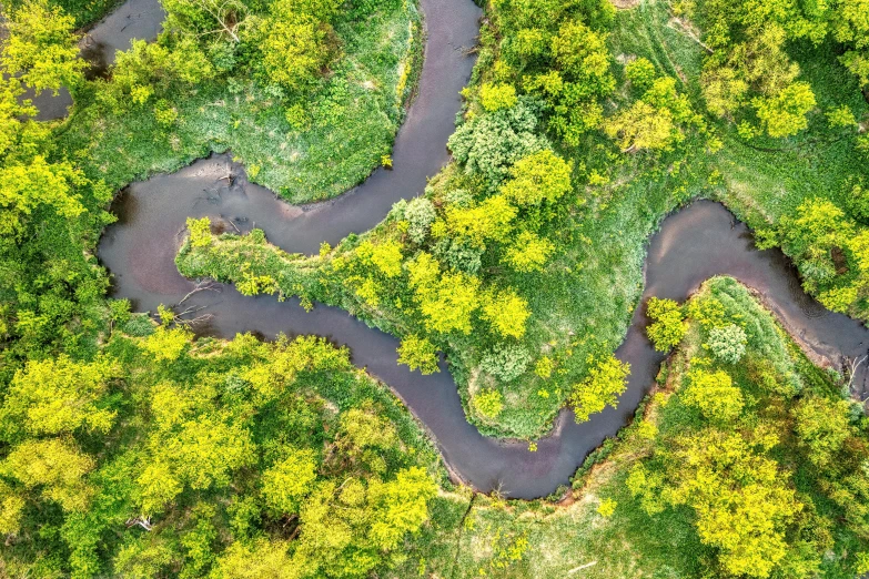 top down s of a winding river running through the middle of a forest