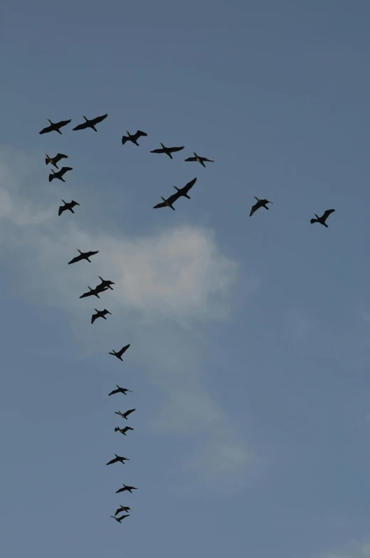 many planes fly in an upward formation overhead