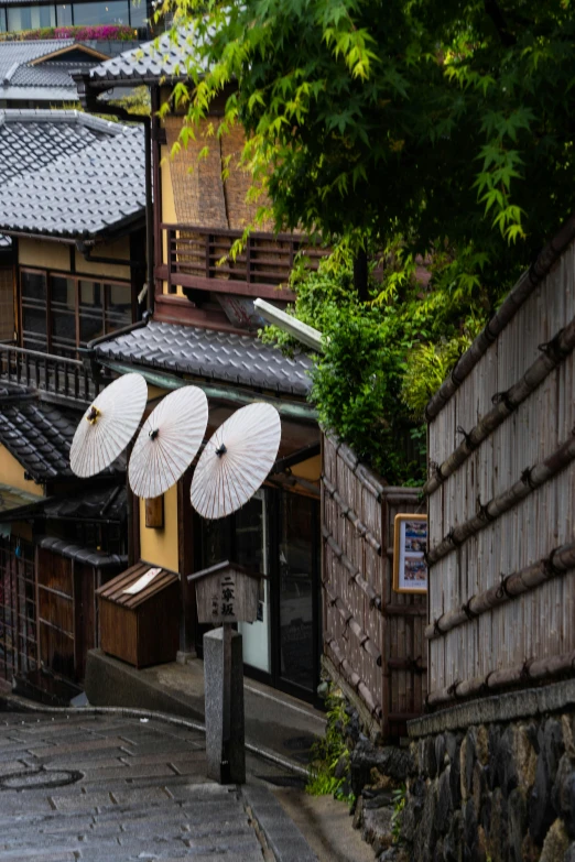 some white umbrellas some buildings and trees