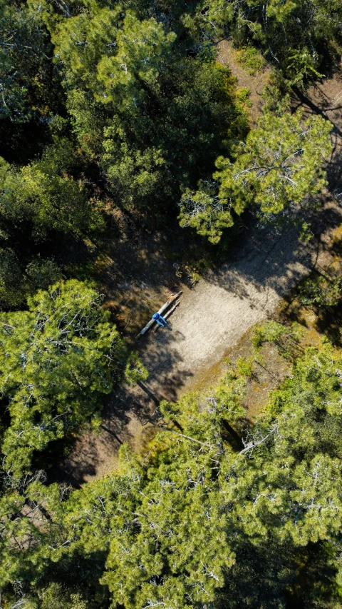 an aerial view of the ground in the middle of a wooded area