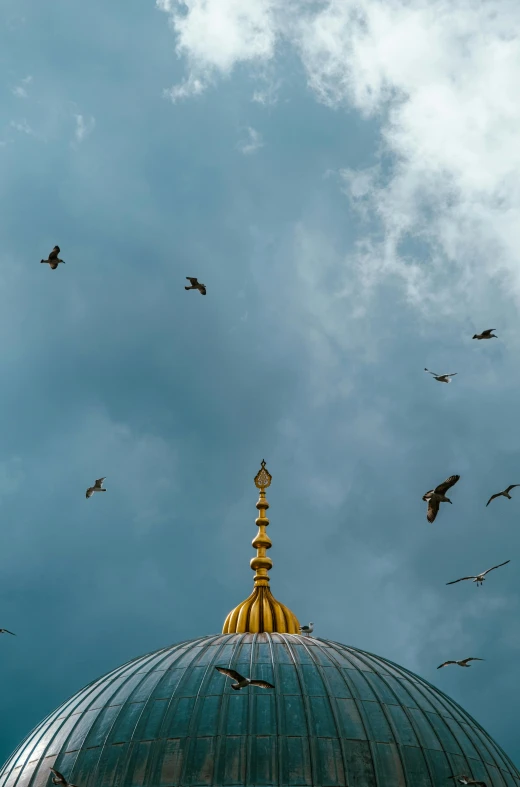 a view of a dome top against blue sky with birds flying in the background