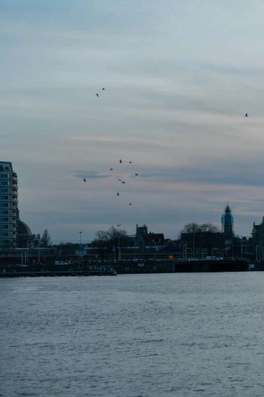 birds fly over a lake in front of tall buildings